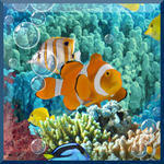 icon